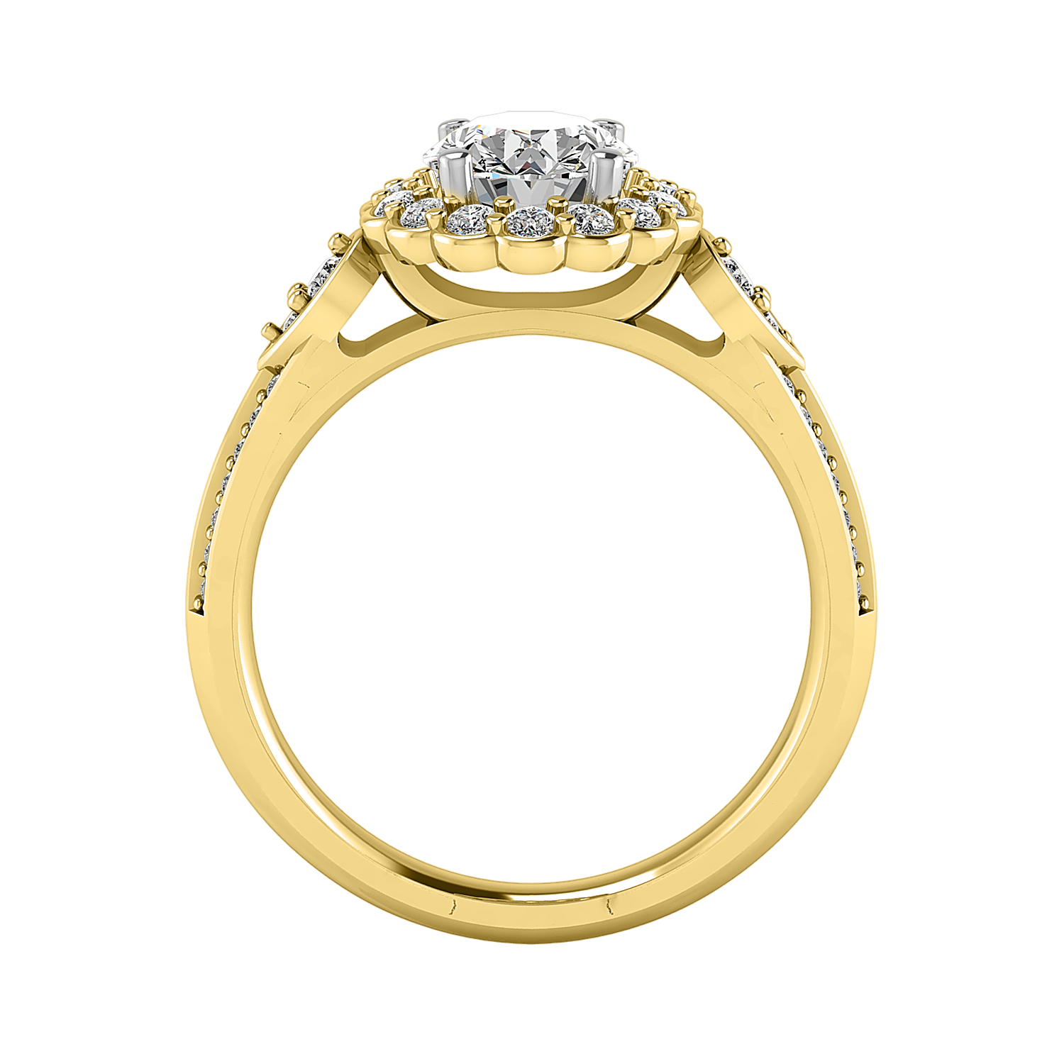 Phoenix Floral Halo Engagement Ring